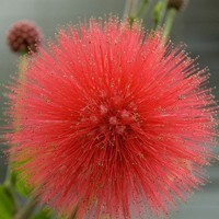 whatsapp网页版短信模板 whatsapp登陆不上去 whatsapp网页版短信模板 whatsapp登陆不上去