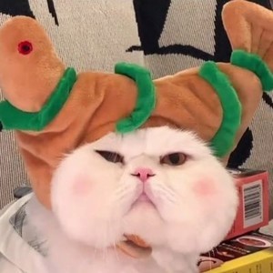 whatsapp免费下载安装 whatsapp网页版软件怎么使用 whatsapp免费下载安装 whatsapp网页版软件怎么使用