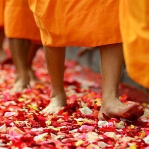 whatsapp网页版翻译功能 whatsapp网页版一键群发免费 