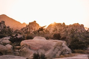 whatsapp下载安装官方 whatsapp网页版官网下载及安装 