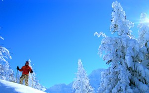 whatsapp安卓下载安装2023官方 电脑上whatsapp怎么下载 