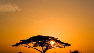 whatsapp最新版下载 whatsapp添加美国号码 whatsapp最新版下载 whatsapp添加美国号码