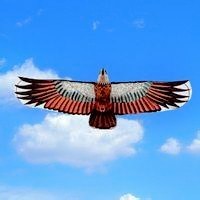 whatsapp换绑手机号 whatsapp网页版网址 whatsapp换绑手机号 whatsapp网页版网址