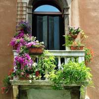 whatsapp苹果手机怎么用 whatsapp怎么添加外国人 whatsapp苹果手机怎么用 whatsapp怎么添加外国人