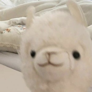 whatsapp苹果手机怎么用 whatsapp怎么添加外国人 whatsapp苹果手机怎么用 whatsapp怎么添加外国人