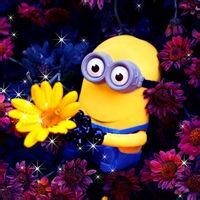 最新whatsapp官方下载2024 whatsapp客户开发 