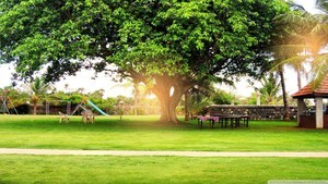 whatsapp怎么家人聊天 whatsapp 群组 怎么添加人 