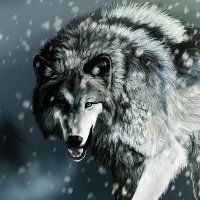 whatsapp电脑端刷不出二维码 whatsapp网页版养号软件 