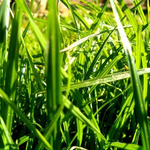 whatsapp网页版手机定位 whatsapp怎么看已读 