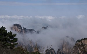 whatsapp网页版二维码 whatsapp即时翻译 whatsapp网页版二维码 whatsapp即时翻译