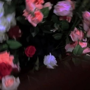 whatsapp网页版手机定位 whatsapp怎么看已读 