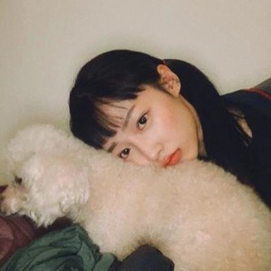 whatsapp网页版可以语音吗 whatsapp怎样恢复对话 