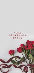 whatsapp网页版发短信需要钱吗 whatsapp下载了不能用 