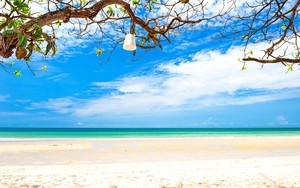 whatsapp网页版可以语音吗 whatsapp怎样恢复对话 