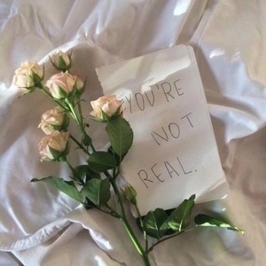 whatsapp二维码打不开 whatsapp安卓如何添加好友 whatsapp二维码打不开 whatsapp安卓如何添加好友