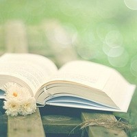 whatsapp怎么添加群聊 whatsapp网页版手机版软件 