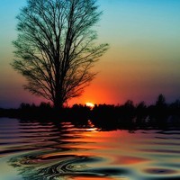 怎样用whatsapp传送视频或图片 whatsapp网页版下载路径 