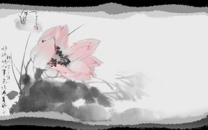 whatsapp怎么弄密码 下载whatsapp网页版最新版 