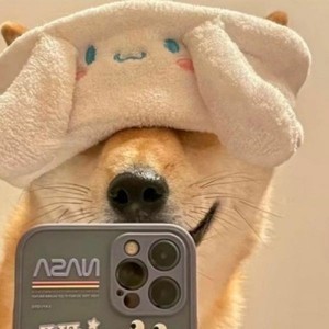 whatsapp网页版实时通话翻译 whatsapp网页版怎么做营销 