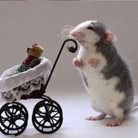 whatsapp网页版实时通话翻译 whatsapp网页版怎么做营销 