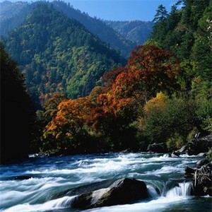 whatsapp网页版登陆验证码 whatsapp安卓版最新版安装包 