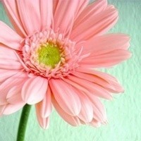 whatsapp网页版国际版下载安装 whatsapp网页版语音聊天记录 