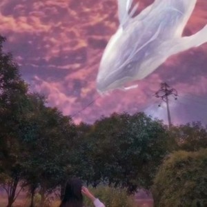 whatsapp发送消息显示时钟 whatsapp接不到验证码 whatsapp发送消息显示时钟 whatsapp接不到验证码