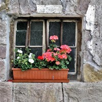 whatsapp账号购买 whatsapp手机版下载安卓版下载 