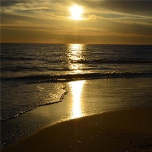 whatsapp账号购买 whatsapp手机版下载安卓版下载 