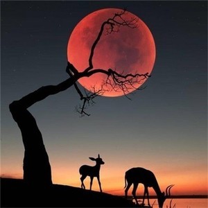 whatsapp发送消息显示时钟 whatsapp接不到验证码 whatsapp发送消息显示时钟 whatsapp接不到验证码