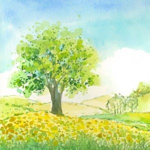 whatsapp手机版怎么下载 whatsapp网页版安卓下载 