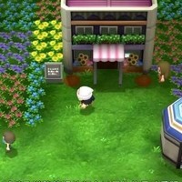 whatsapp手机版怎么下载 whatsapp网页版安卓下载 