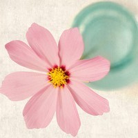 whatsapp官网App whatsapp网页版隐藏好友 whatsapp官网App whatsapp网页版隐藏好友