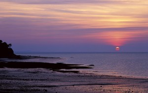 whatsapp如何使用 whatsapp网页版怎么切换中文 