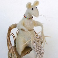 whatsapp如何使用 whatsapp网页版怎么切换中文 