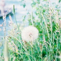 在whatsapp网页版如何做营销 whatsapp网页版最新版官方版 在whatsapp网页版如何做营销 whatsapp网页版最新版官方版