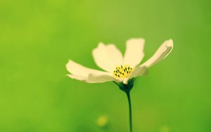 whatsapp视频怎么下载 whatsapp可以换手机号码 