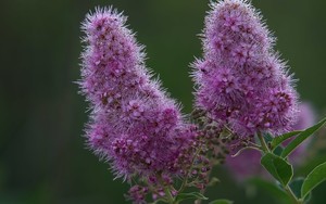 whatsapp视频怎么下载 whatsapp可以换手机号码 