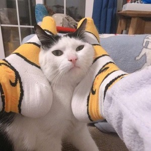 whatsapp最新版官方网站 whatsapp网页版下载官方 