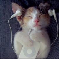 whatsapp社交平台 whatsapp网页版怎么用密码登陆 