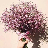 whatsapp为什么登陆不上去 whatsapp电脑版二维码出不来 whatsapp为什么登陆不上去 whatsapp电脑版二维码出不来