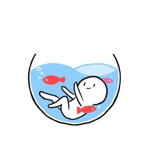 whatsapp二维码生成器 手机版whatsapp下载最新国际版 