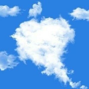 苹果怎么登陆whatsapp网页版 whatsapp网页版怎么加好友 