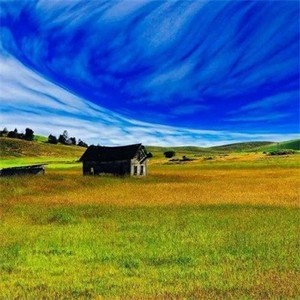 whatsapp二维码生成器 手机版whatsapp下载最新国际版 