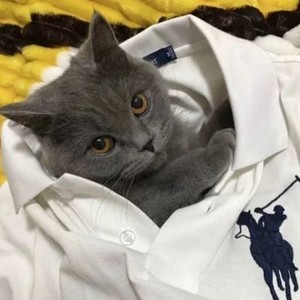 whatsapp二维码生成器 手机版whatsapp下载最新国际版 