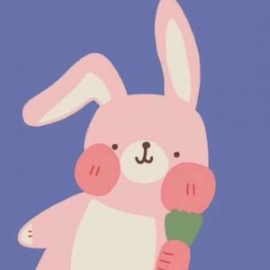 苹果怎么登陆whatsapp网页版 whatsapp网页版怎么加好友 