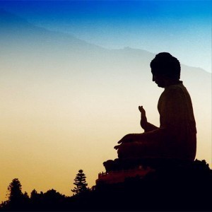 苹果怎么登陆whatsapp网页版 whatsapp网页版怎么加好友 