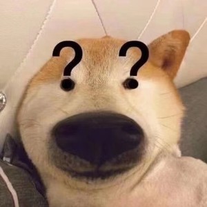 whatsapp添加好友怎么加 whatsapp网页版详细 