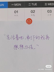 whatsapp 软件安装包 苹果手机可以下载whatsapp网页版吗 