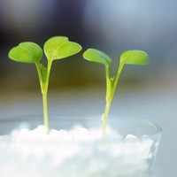 whatsapp 软件安装包 苹果手机可以下载whatsapp网页版吗 